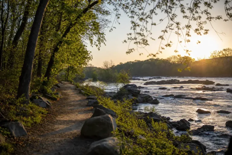 Illustrative community scene for Intensive Outpatient Program (IOP) Addiction Treatment Illustrative community scene for Intensive Outpatient Program (IOP) Addiction Treatment