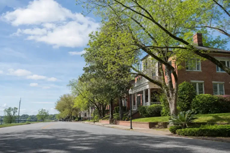 Illustrative community scene for How to Start Admissions for Athens, GA Illustrative community scene for How to Start Admissions for Athens, GA