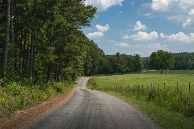 Illustrative community scene for Intensive Outpatient Program (IOP) Addiction Treatment Illustrative community scene for Intensive Outpatient Program (IOP) Addiction Treatment