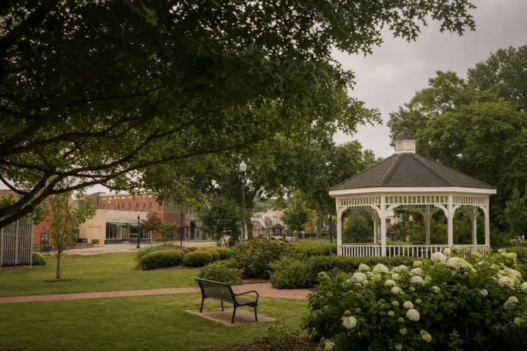 Illustrative community scene for Heroin Addiction Treatment near LaGrange, GA, image 4 Illustrative community scene for Heroin Addiction Treatment near LaGrange, GA, image 4