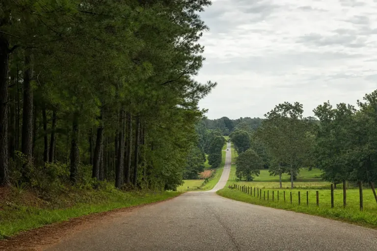Illustrative community scene for Partial Hospitalization Program (PHP) Addiction Treatment near Hogansville, GA, image 4 Illustrative community scene for Partial Hospitalization Program (PHP) Addiction Treatment near Hogansville, GA, image 4