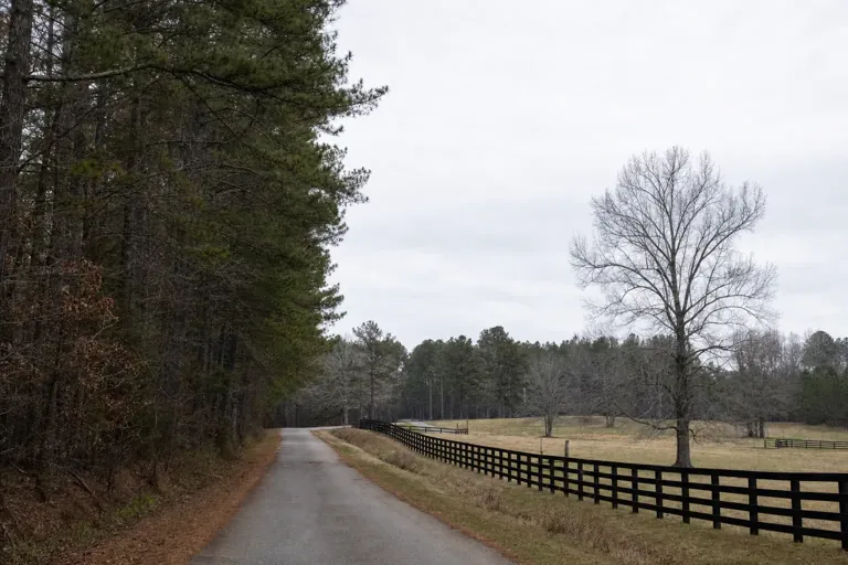 Illustrative community scene for Evening Intensive Outpatient Program (IOP) Addiction Treatment near Talbotton, GA, image 4 Illustrative community scene for Evening Intensive Outpatient Program (IOP) Addiction Treatment near Talbotton, GA, image 4