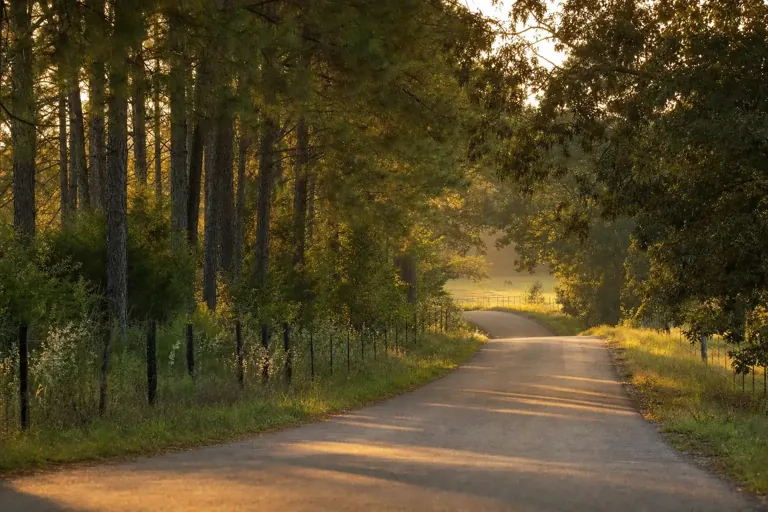 Illustrative community scene for Fentanyl Addiction Treatment near Troup County, GA, image 4 Illustrative community scene for Fentanyl Addiction Treatment near Troup County, GA, image 4