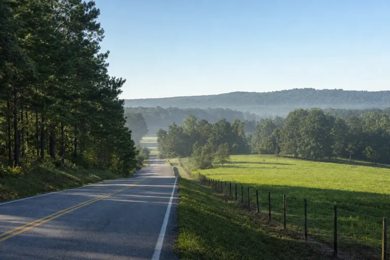Illustrative community scene for Fentanyl Addiction Treatment near Carroll County, GA, image 4 Illustrative community scene for Fentanyl Addiction Treatment near Carroll County, GA, image 4