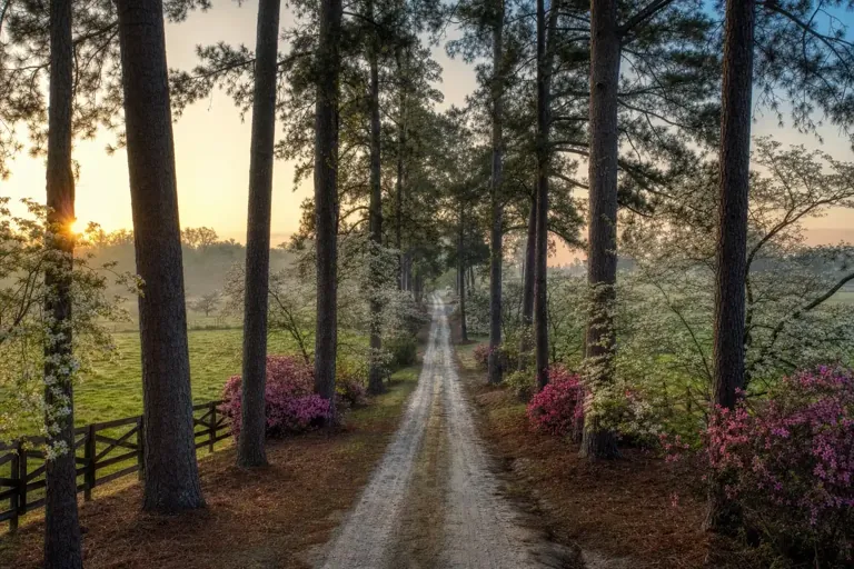 Illustrative community scene for Cocaine Addiction Treatment near Harris County, GA, image 4 Illustrative community scene for Cocaine Addiction Treatment near Harris County, GA, image 4