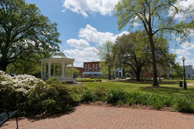 Illustrative community scene for Alcohol Addiction Treatment near Harris County, GA, image 4 Illustrative community scene for Alcohol Addiction Treatment near Harris County, GA, image 4