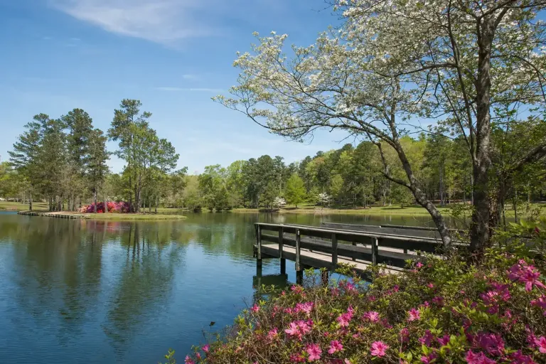 Illustrative community scene for Alcohol Addiction Treatment near LaGrange, GA, image 4 Illustrative community scene for Alcohol Addiction Treatment near LaGrange, GA, image 4