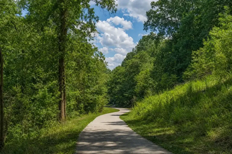 Illustrative community scene for Kratom Addiction Treatment near Brookhaven, GA, image 4 Illustrative community scene for Kratom Addiction Treatment near Brookhaven, GA, image 4