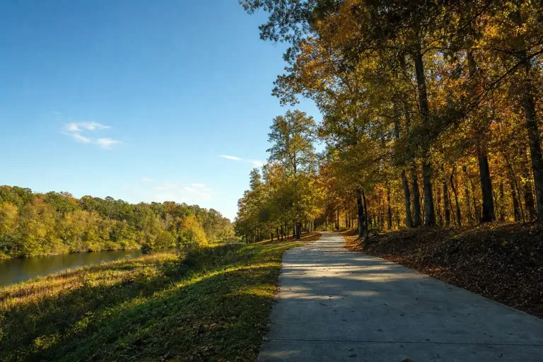 Illustrative community scene for PTSD and Substance Use Support near Brookhaven, GA, image 4 Illustrative community scene for PTSD and Substance Use Support near Brookhaven, GA, image 4