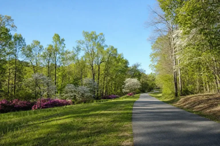 Illustrative community scene for Outpatient Addiction and Mental Health Treatment Support near Avondale, GA, image 4 Illustrative community scene for Outpatient Addiction and Mental Health Treatment Support near Avondale, GA, image 4