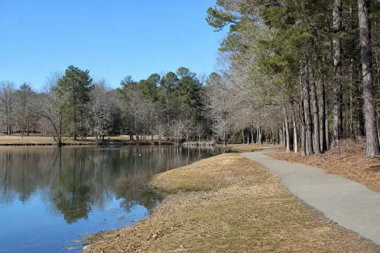 Illustrative community scene for PTSD and Substance Use Support near Buford, GA, image 4 Illustrative community scene for PTSD and Substance Use Support near Buford, GA, image 4