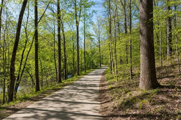 Illustrative community scene for Outpatient Addiction and Mental Health Treatment Support near McDonough, GA, image 4 Illustrative community scene for Outpatient Addiction and Mental Health Treatment Support near McDonough, GA, image 4