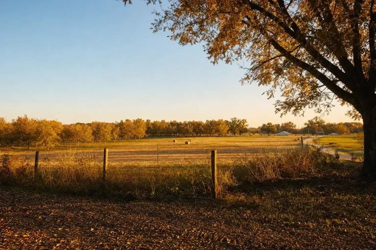 Illustrative community scene for Opioid Addiction Treatment near Perry, GA, image 4 Illustrative community scene for Opioid Addiction Treatment near Perry, GA, image 4