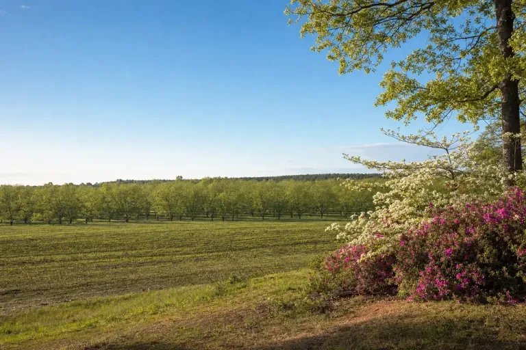 Illustrative community scene for Evening Intensive Outpatient Program (IOP) Addiction Treatment near Crawford, AL, image 4 Illustrative community scene for Evening Intensive Outpatient Program (IOP) Addiction Treatment near Crawford, AL, image 4