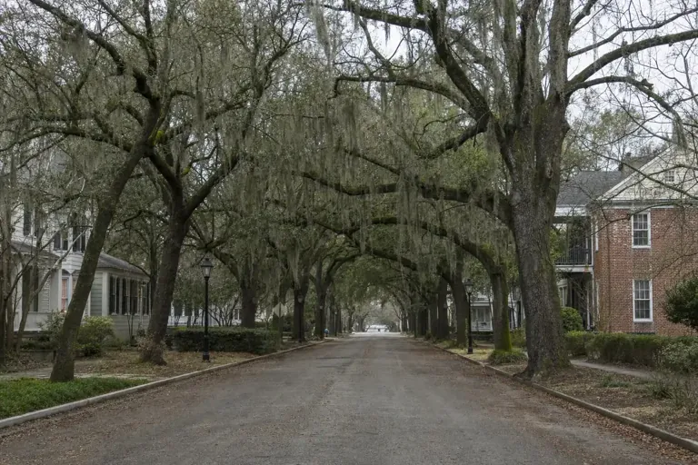 Illustrative community scene for Intensive Outpatient Program (IOP) Addiction Treatment near Douglas, GA, image 4 Illustrative community scene for Intensive Outpatient Program (IOP) Addiction Treatment near Douglas, GA, image 4
