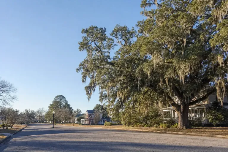 Illustrative community scene for Insurance Verification Help for Bainbridge, GA, image 4 Illustrative community scene for Insurance Verification Help for Bainbridge, GA, image 4