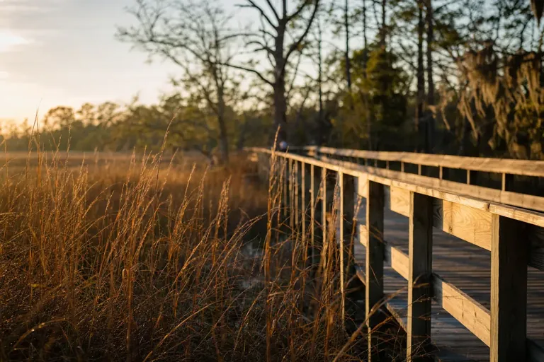 Illustrative community scene for Heroin Addiction Treatment near St. Marys, GA, image 4 Illustrative community scene for Heroin Addiction Treatment near St. Marys, GA, image 4