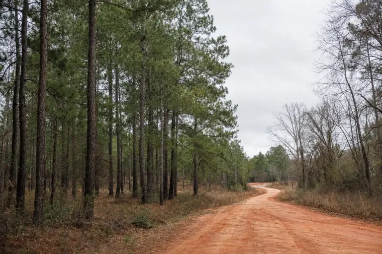 Illustrative community scene for Dual Diagnosis Support near Evans, GA, image 4 Illustrative community scene for Dual Diagnosis Support near Evans, GA, image 4